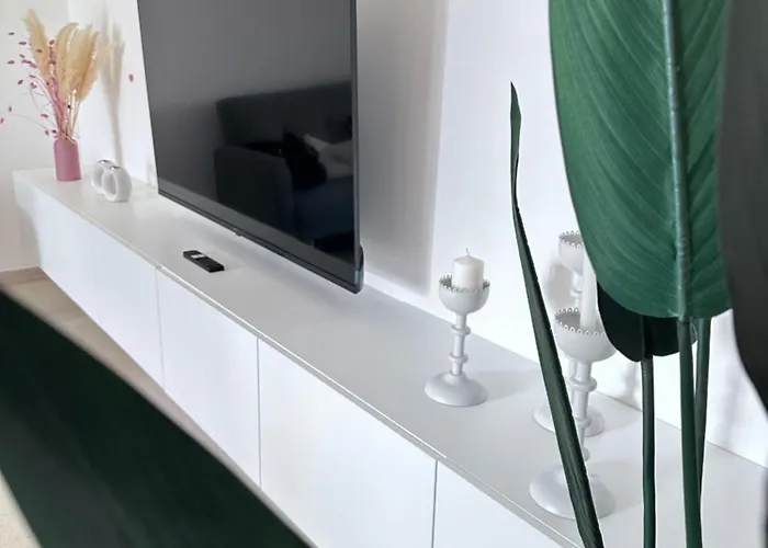 Deledda 莫诺波利